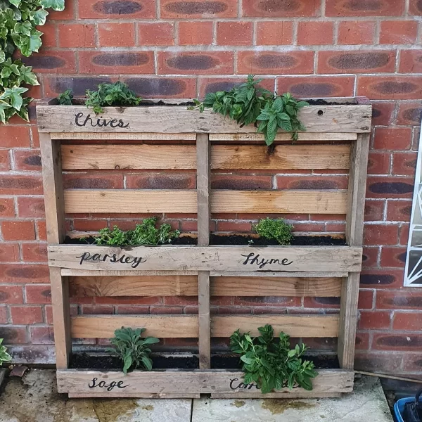 Rustic Wooden Pallet